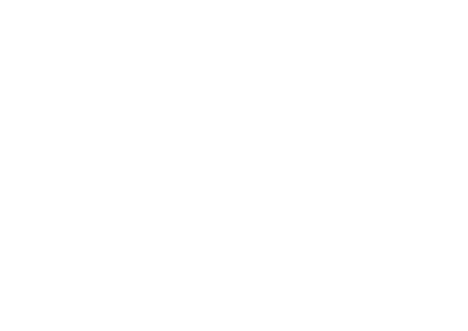 IPA Verlag